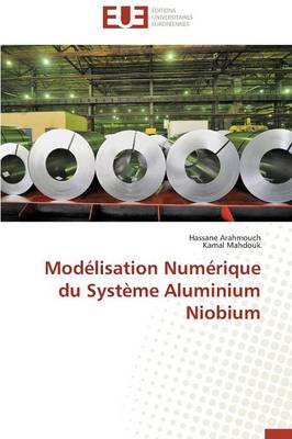 Cover of Mod lisation Num rique Du Syst me Aluminium Niobium