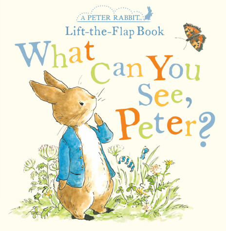 Book cover for What Can You See, Peter?