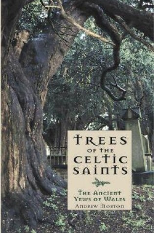 Cover of Trees of the Celtic Saints  The Ancient Yews of Wales