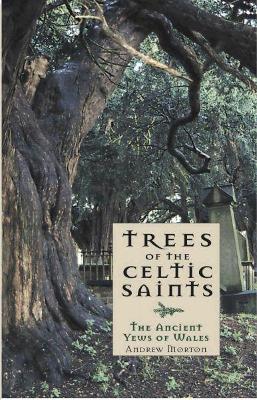 Book cover for Trees of the Celtic Saints  The Ancient Yews of Wales