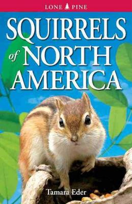 Book cover for Squirrels of North America