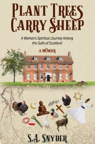 Cover of Plant Trees, Carry Sheep: A Woman's Spiritual Journey Among the Sufis of Scotland