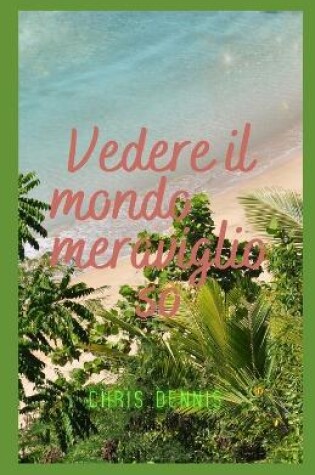 Cover of Vedere il mondo meraviglioso