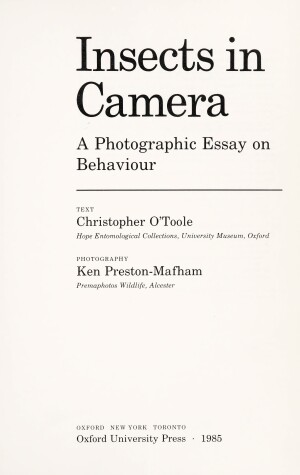 Book cover for Insects in Camera