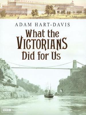 Book cover for What the Victorians Did for Us