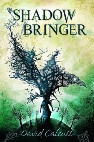 Cover of Shadow Bringer