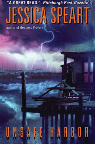 Cover of Unsafe Harbor