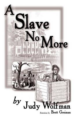 Book cover for A Slave No More