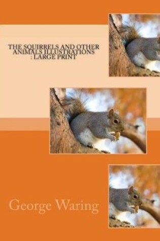 Cover of The Squirrels and Other Animals Illustrations