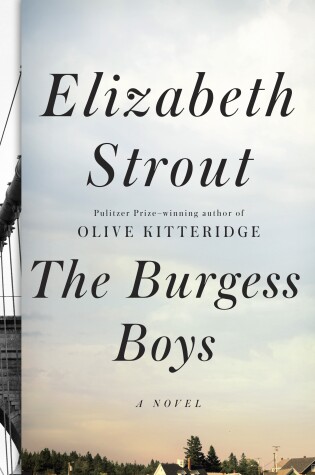 Cover of The Burgess Boys