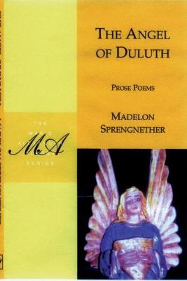 Book cover for The Angel of Duluth