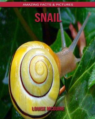 Book cover for Snail