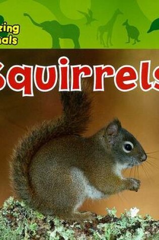 Cover of Squirrels