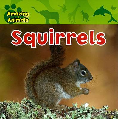 Cover of Squirrels