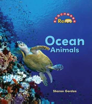 Book cover for Ocean Animals