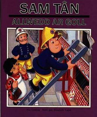 Book cover for Cyfres Llyfrau Sam Tân: Allwedd ar Goll