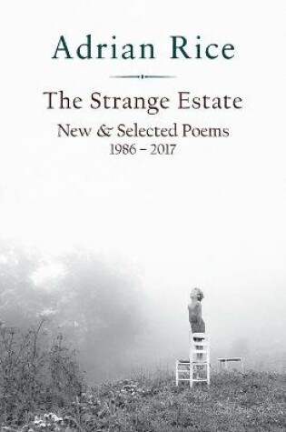Cover of The Strange Estate