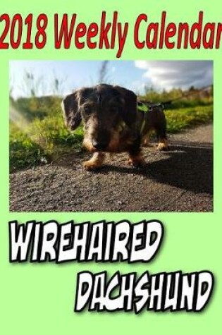 Cover of 2018 Weekly Calendar Wirehaired Dachshund