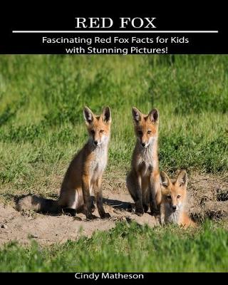 Book cover for Red Fox