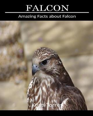 Book cover for Amazing Facts about Falcon