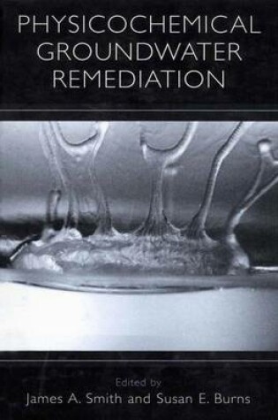 Cover of Physicochemical Groundwater Remediation