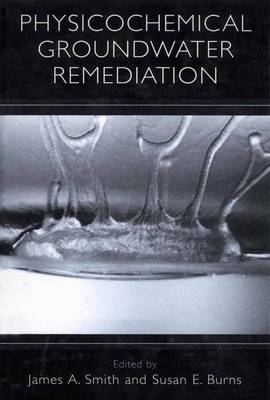 Book cover for Physicochemical Groundwater Remediation