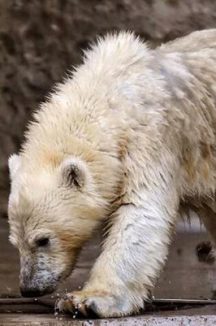 Cover of Cute Polar Bear Cub Journal