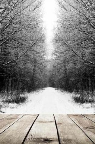 Cover of Down the Snow Covered Road