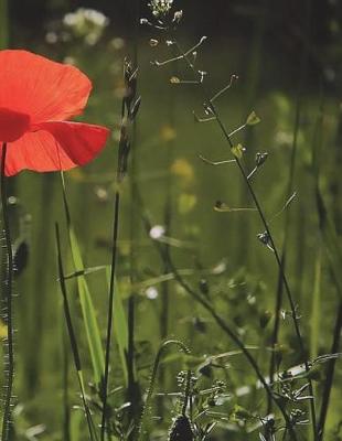 Cover of Poppy Notebook Large Size 8.5 x 11 Ruled 150 pages Softcover