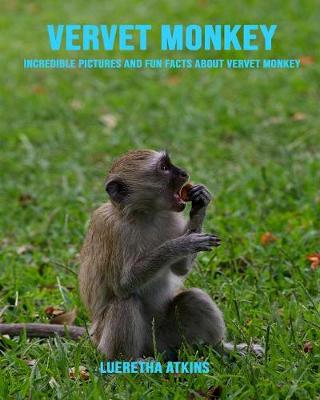 Book cover for Vervet Monkey