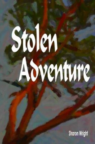 Cover of Stolen Adventure