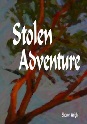 Book cover for Stolen Adventure