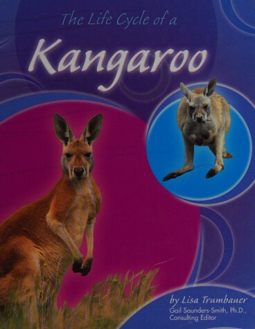 Book cover for The Life Cycle of a Kangaroo