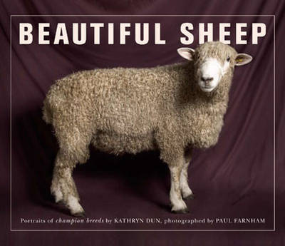 Book cover for Beautiful Sheep