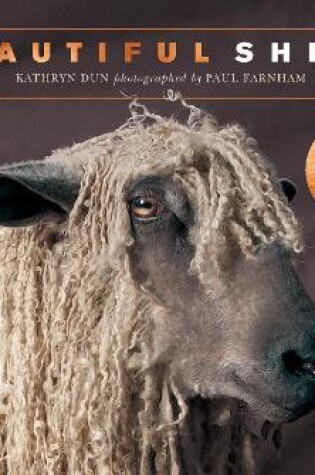 Cover of Beautiful Sheep