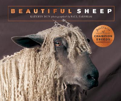 Book cover for Beautiful Sheep