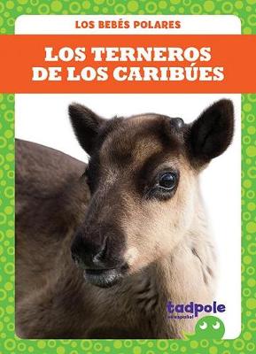 Book cover for Los Terneros de Los Caribúes (Caribou Calves)