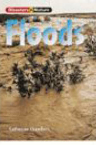 Cover of Disastr Nature: Flood Pap