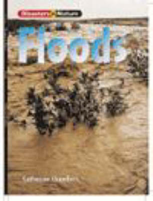 Book cover for Disastr Nature: Flood Pap