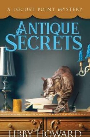 Cover of Antique Secrets