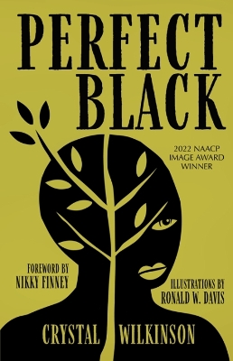 Book cover for Perfect Black