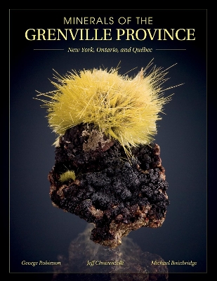 Book cover for Minerals of the Grenville Province: New York, Ontario and Quebec