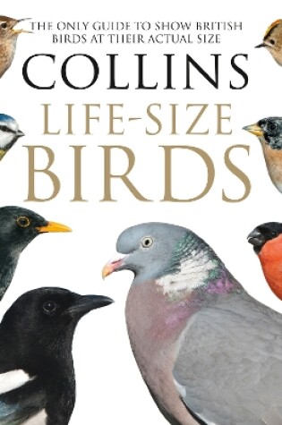 Cover of Collins Life-Size Birds