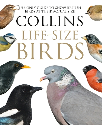 Book cover for Collins Life-Size Birds