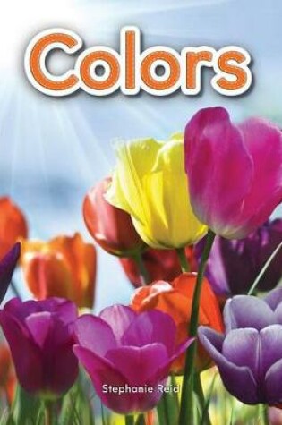 Cover of Colors Lap Book