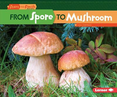 Book cover for From Spore to Mushroom