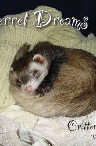 Cover of Ferret Dreams