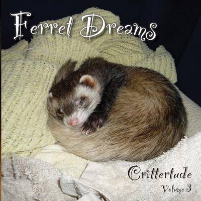 Book cover for Ferret Dreams