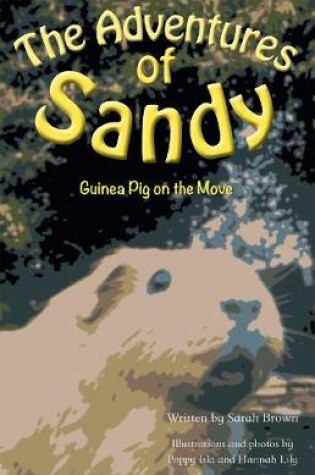 Cover of The Adventures of Sandy