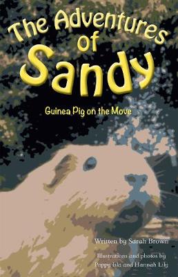 Book cover for The Adventures of Sandy